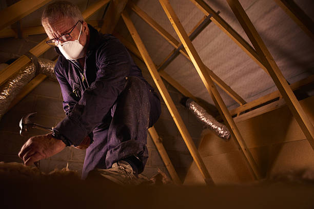 Best Eco-Friendly Insulation in Wagon Wheel, AZ